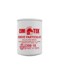 300-10 Cimtek Filter (PET*40510P)