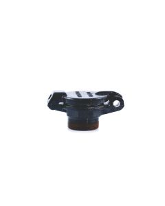 Morrison Brothers 2" Cast Iron Fill Cap 